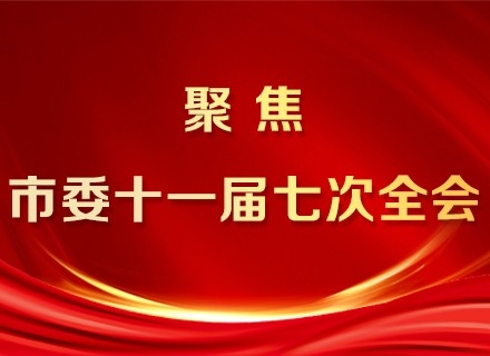 聚焦市委十一屆七次全會